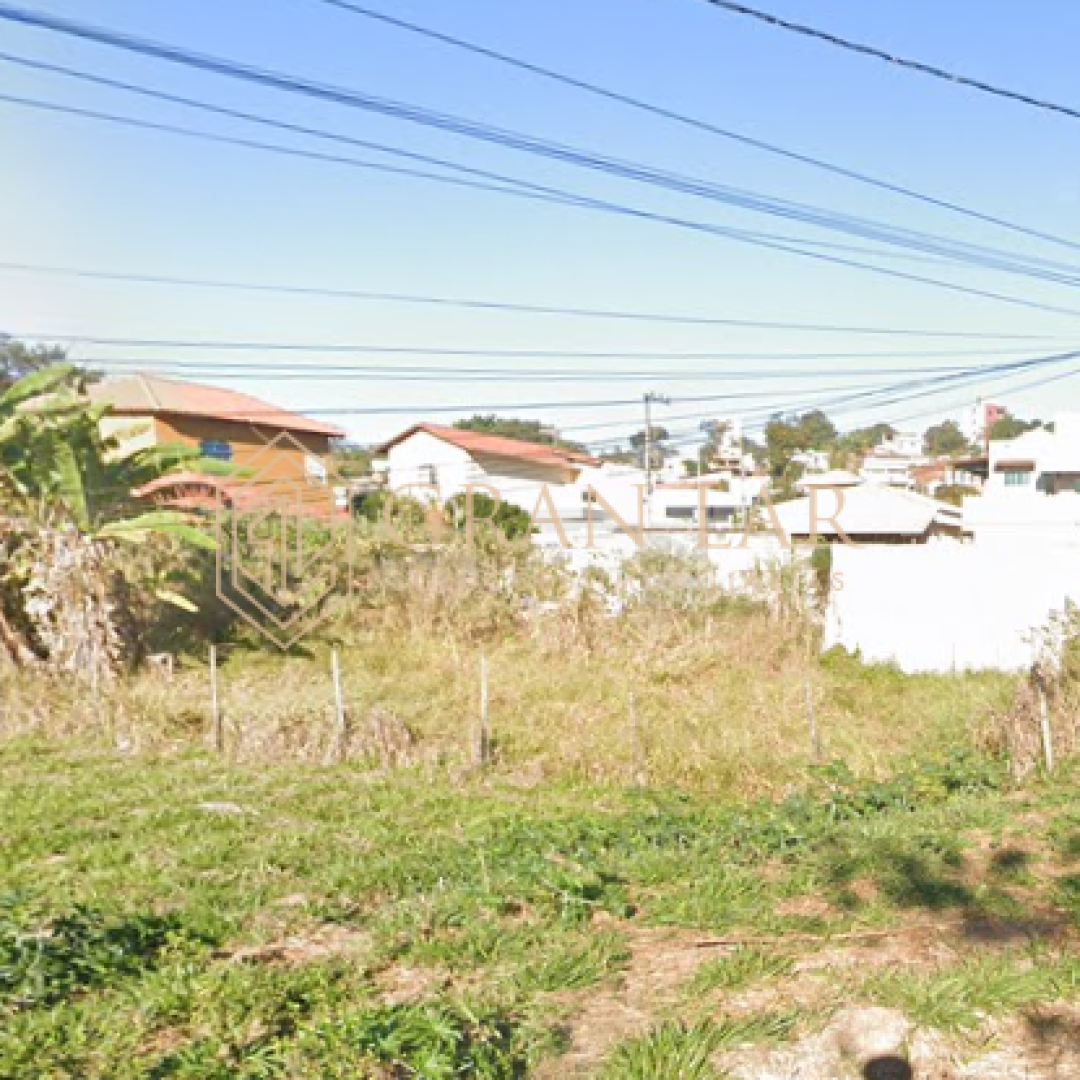 Captura-de-tela-2026-07-28-095807-2