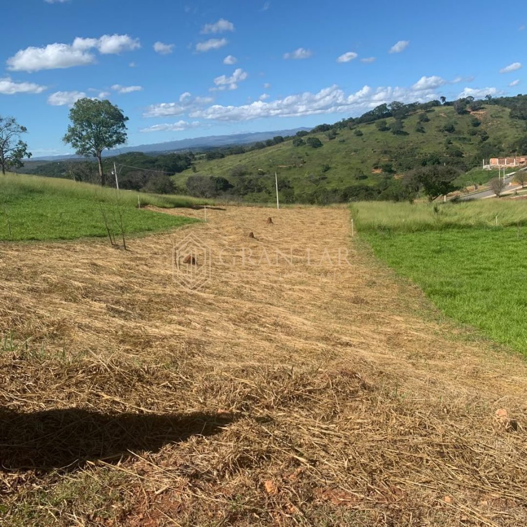 WhatsApp-Image-2026-01-31-at-12.23.20