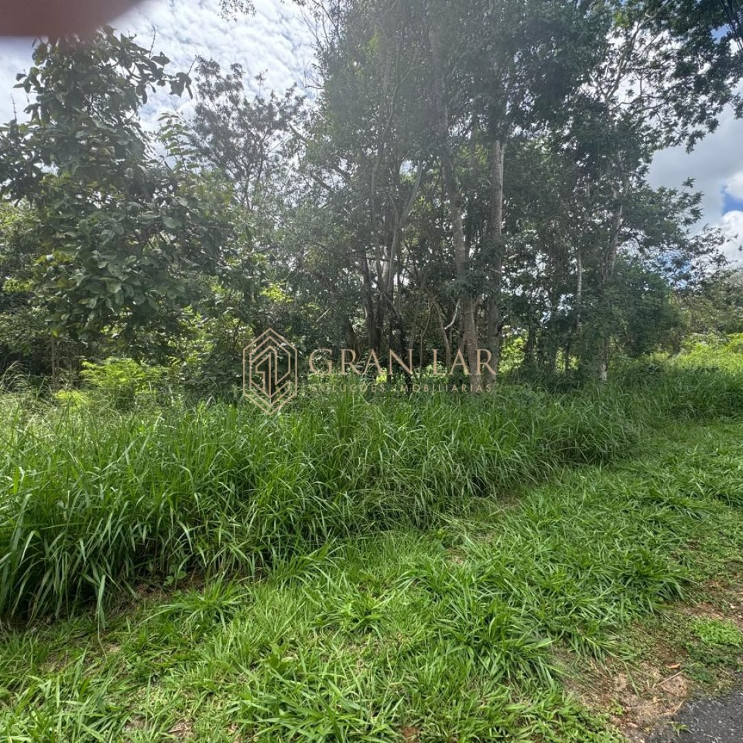 WhatsApp-Image-2026-03-12-at-20.25.11-3