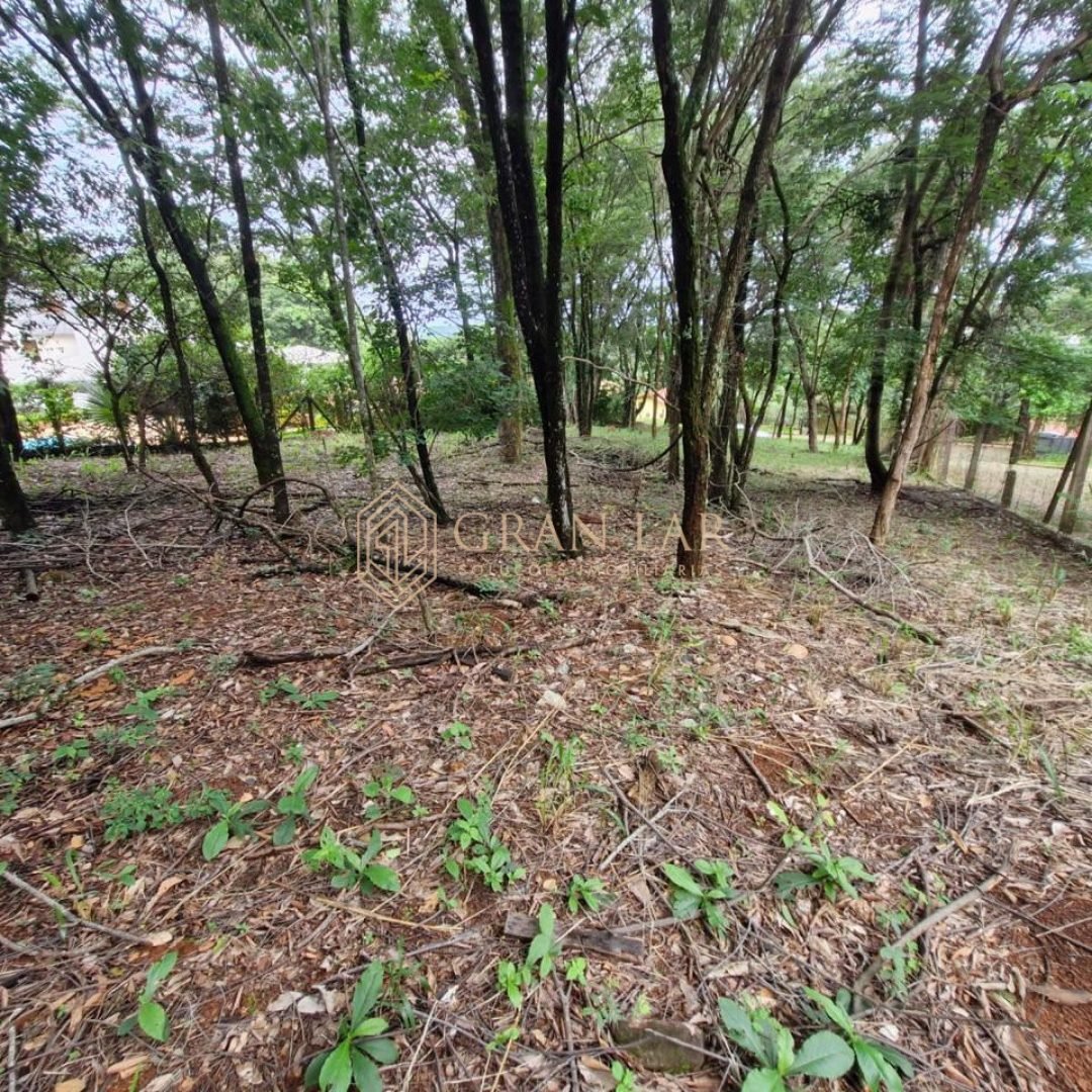 WhatsApp-Image-2026-03-30-at-14.20.51-1