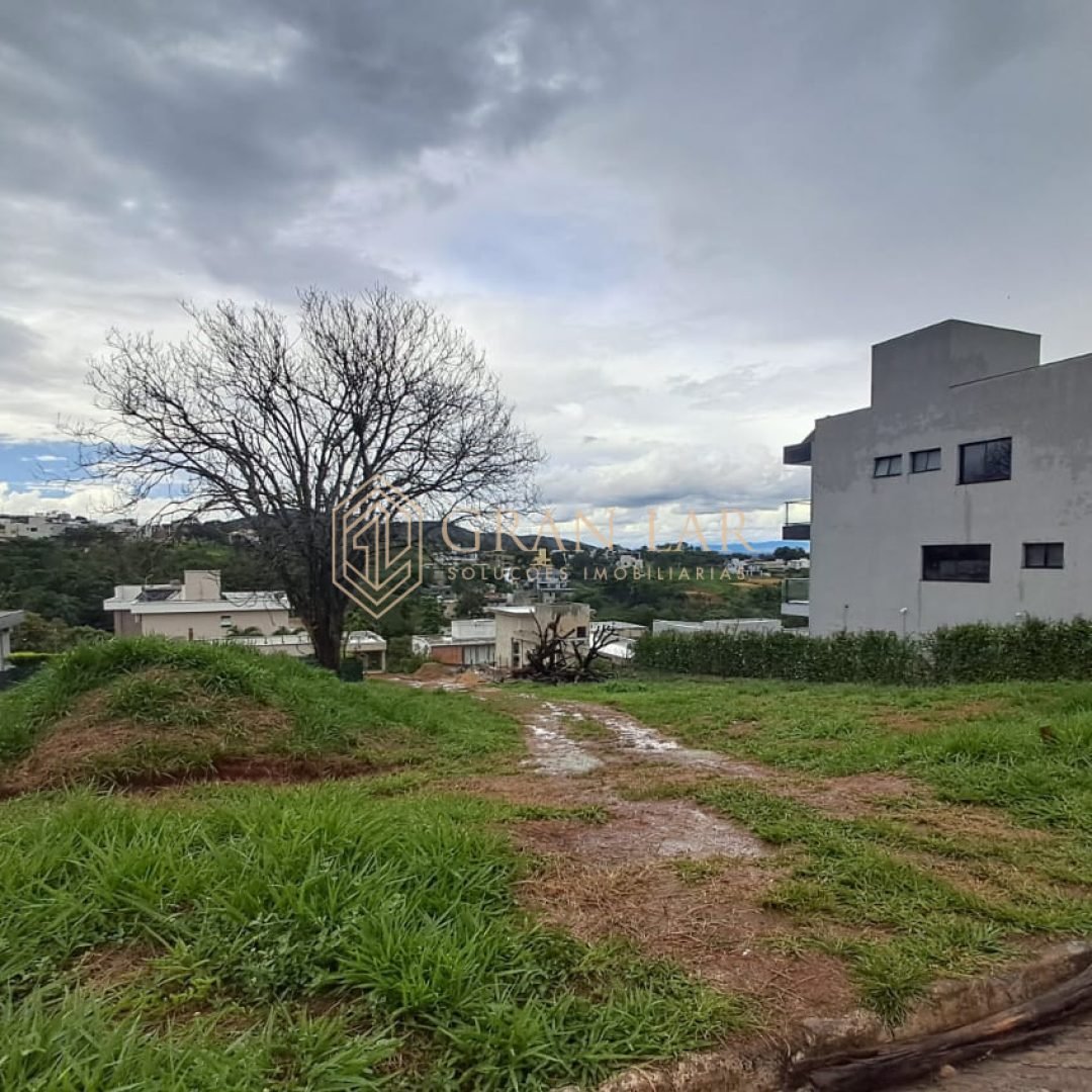 WhatsApp-Image-2026-04-02-at-16.29.23