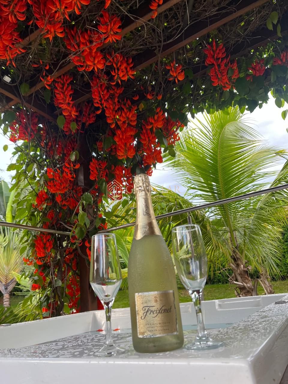 WhatsApp-Image-2026-03-20-at-23.13.36-1